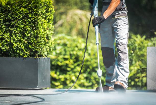 Best Sidewalk and Walkway Cleaning  in Mission Bend, TX